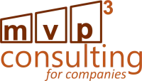 Consulting for companies